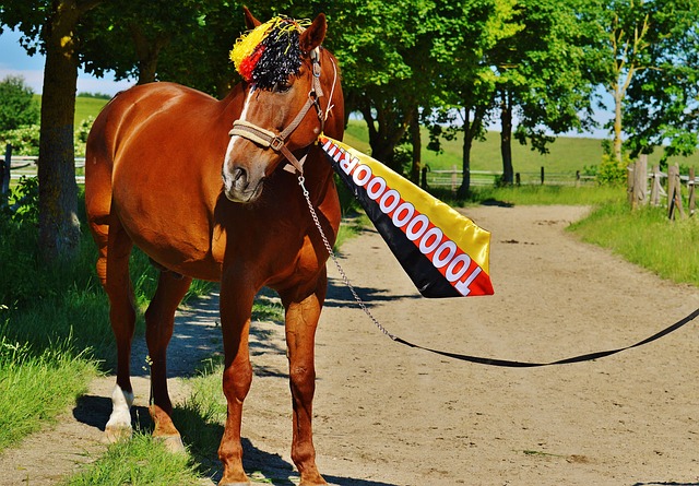 后的关键因 后的关键因