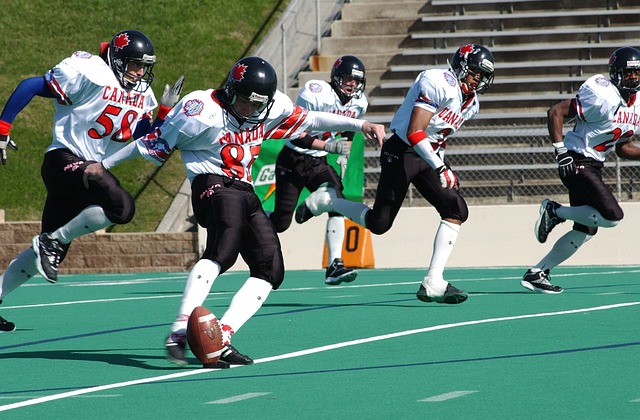 能够在人数 能够在人数