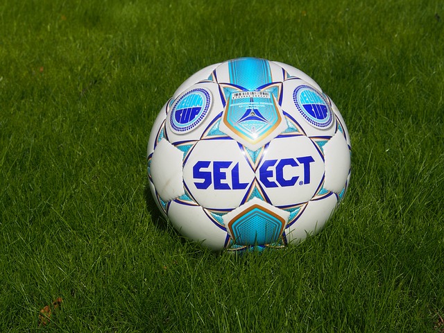 新华社权威 新华社权威